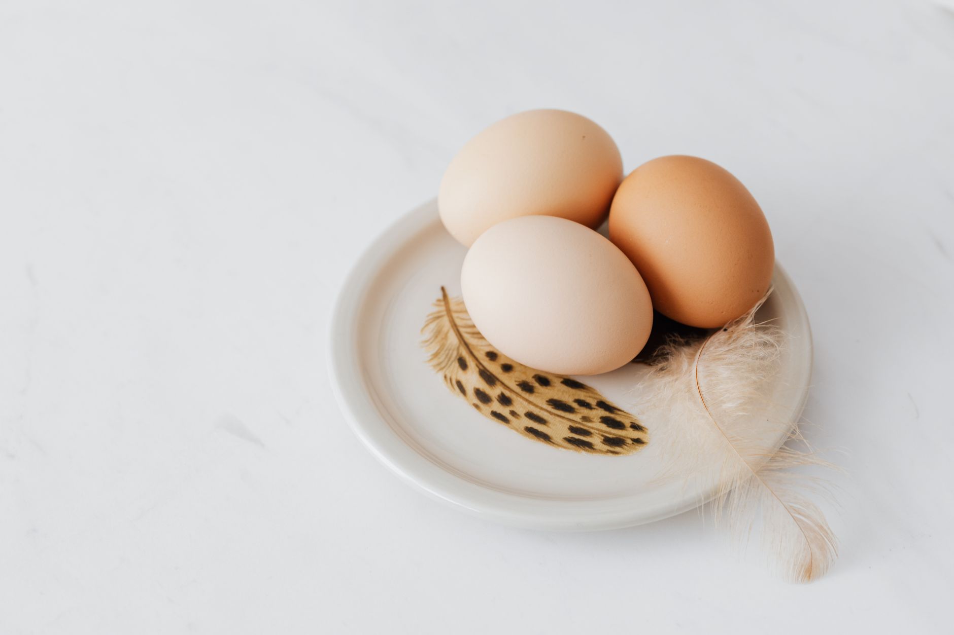 Protein Timing Doesn't Matter as Much as Protein Total - But There's One Exception