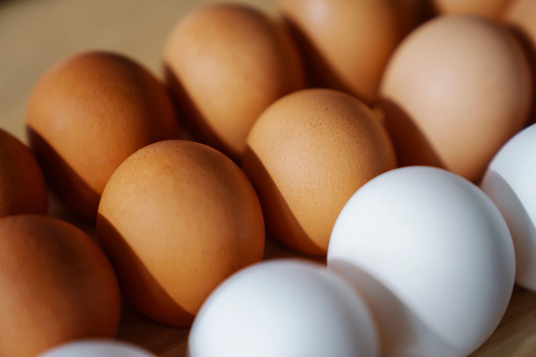 Protein Timing Is Mostly Noise - Except for This One Window