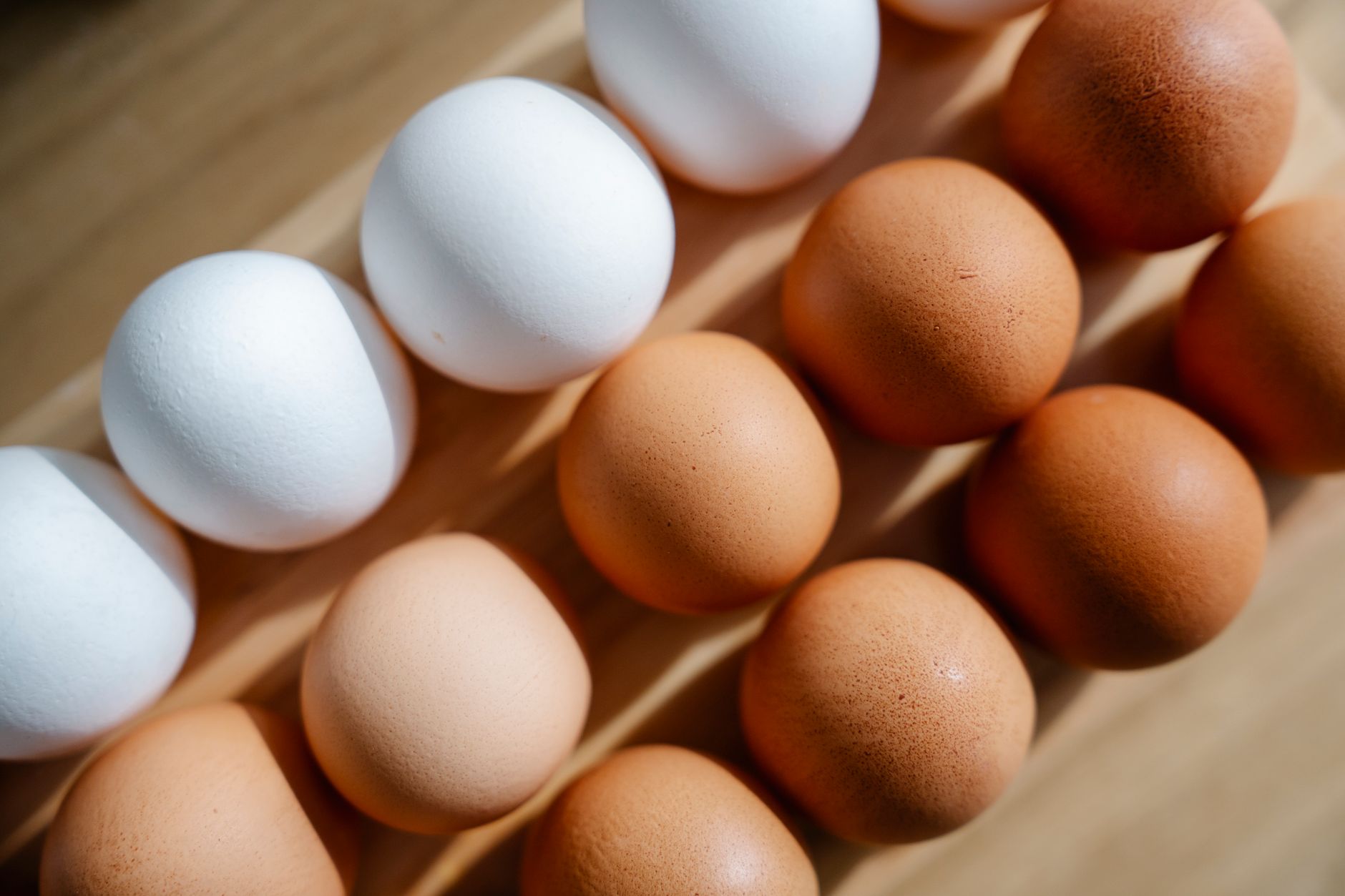 Protein Timing Is Mostly Noise - Total Daily Intake Is Not