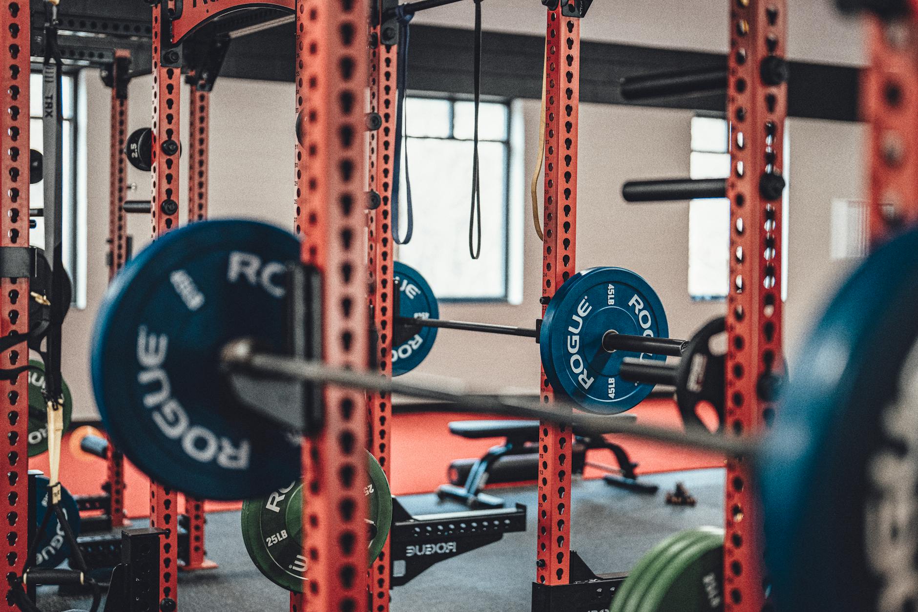 Why Your Strength Plateau Has Nothing to Do With Your Program